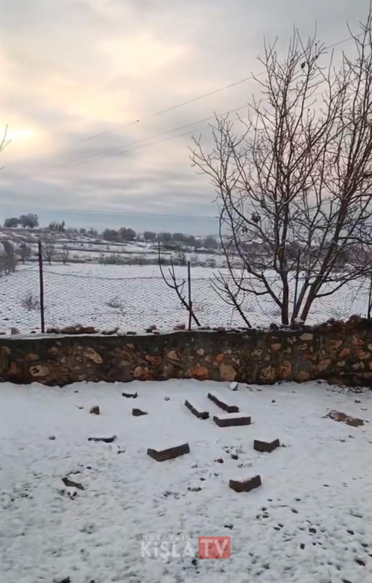 Nusaybin’in Doğanlı Köyü (Talate) Beyaza Büründü